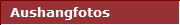 Aushangfotos